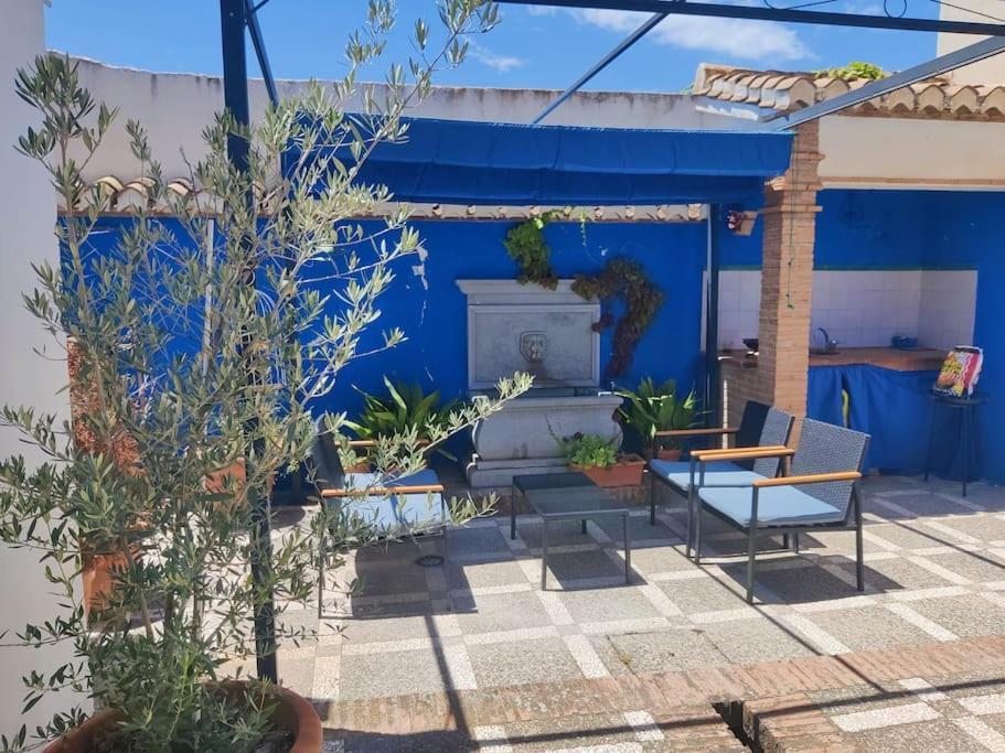 Lolas Cozy Studio Granada Exteriér fotografie